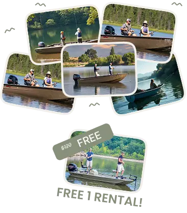 Offer Booking Mobile